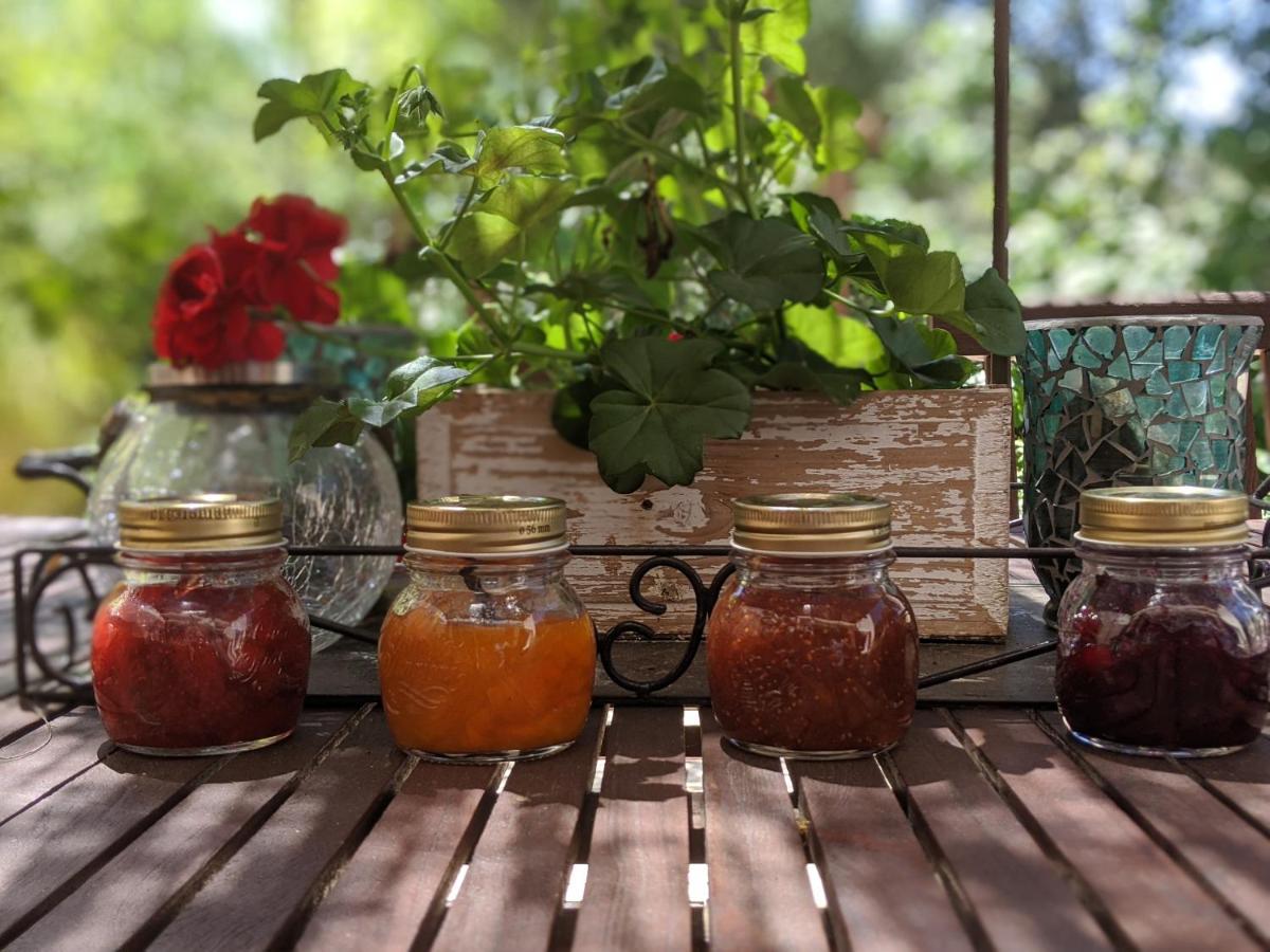 Bed and Breakfast Les Jardins D'Holi Proche Uzes Garrigues-et-Sainte-Eulalie Zewnętrze zdjęcie